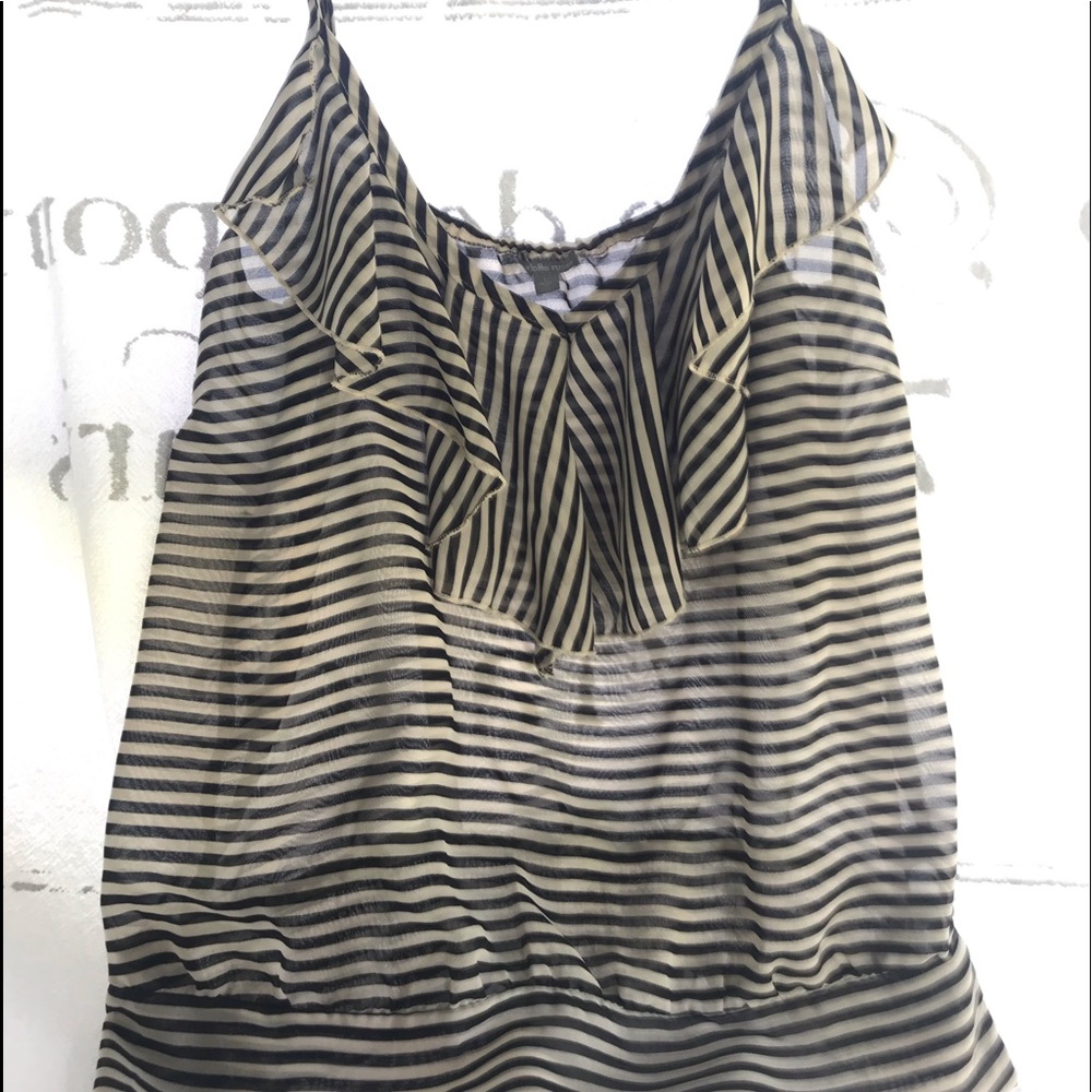 Charlotte Russe dressy and/or casual sheer top.